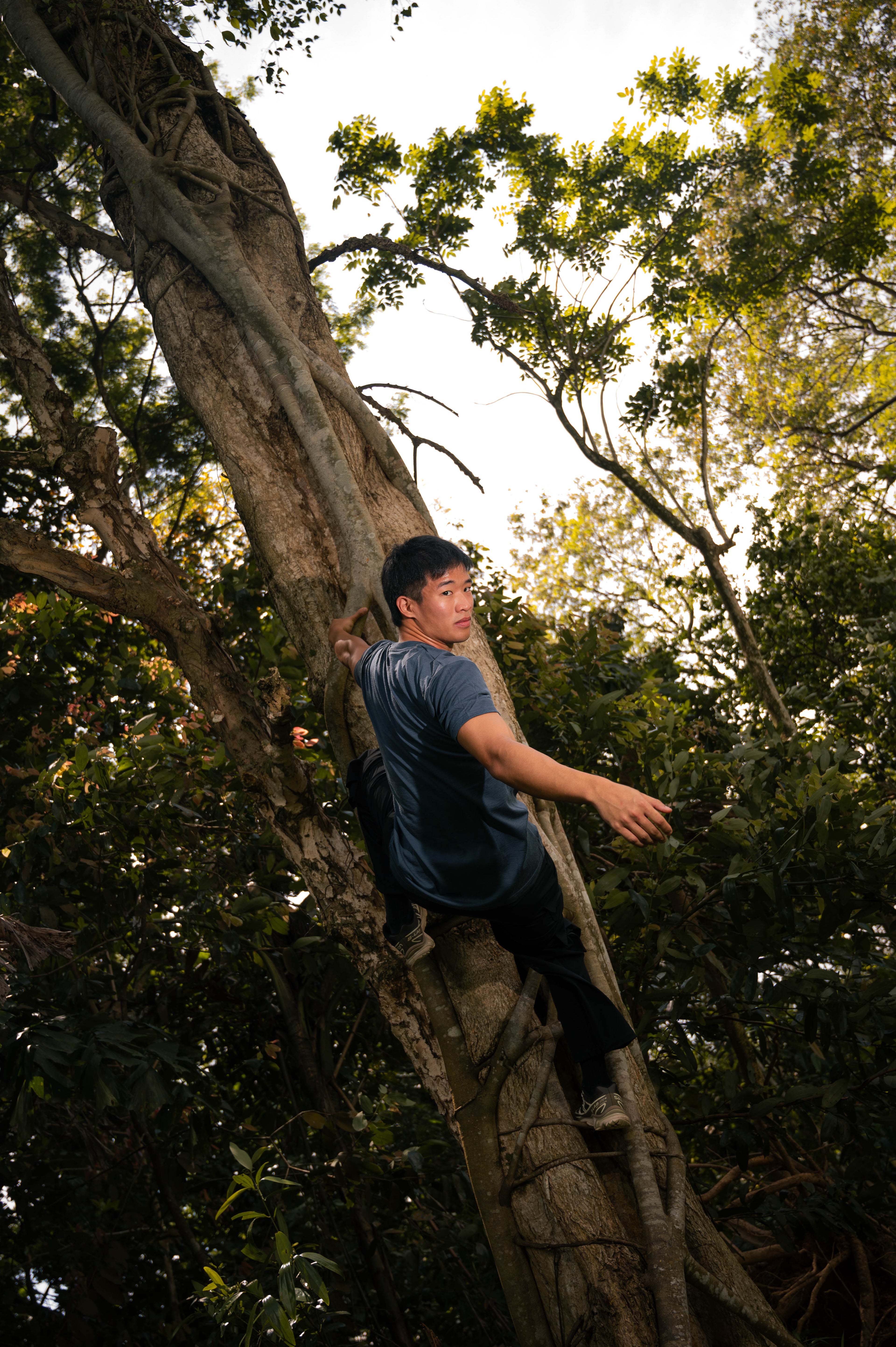 Men's Trail Base Merino Short Sleeve